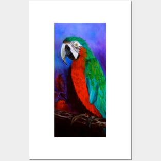 Macaw Posters and Art